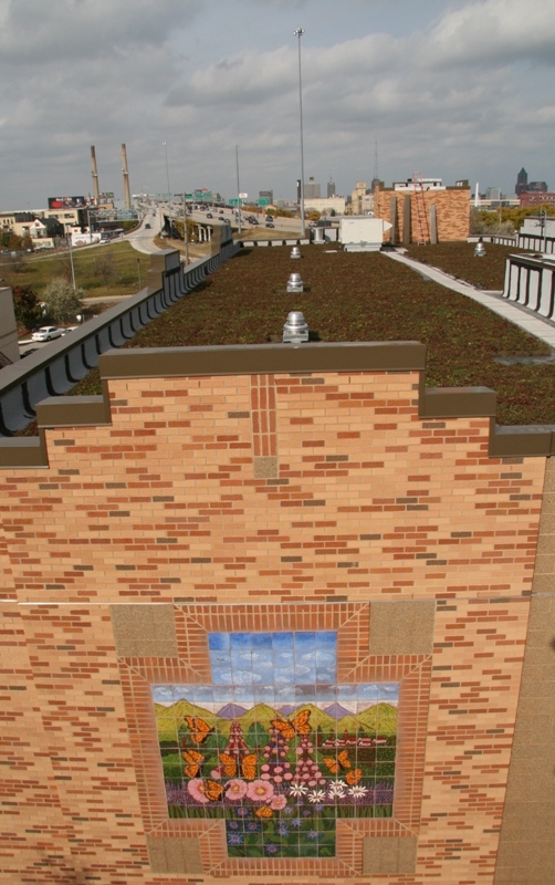 Olga Village Green Roof